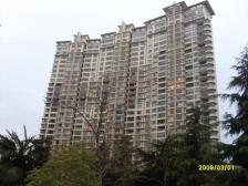 长寿路标杆小区,全南户型,居住舒适,业主诚意出售