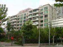 万体馆·品质小区,居家装修,视野嘎嘎好