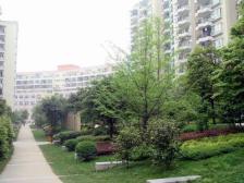 融侨看江顶跃 精装修 拎包入住