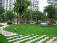 冉家坝 东和春天东区三房160万