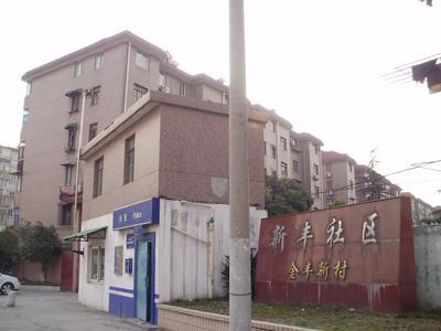 大金丰