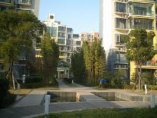 前边公园无遮挡,产权清晰带车位,现场实勘,新上房源