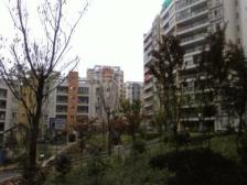 轻轨可直达轩敞阔景大宅 空间如流水般延展