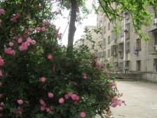 阳光通透三房,房东诚心卖,