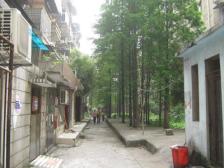 梦时代旁 青山湖小区 精装二房 全天太阳