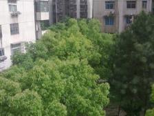 桃苑一区WGYSBF单位宿舍,停车方便,近地铁配套齐全