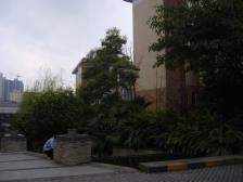 广厦城岭都 3室1厅 东南