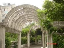 丰庄·丽景新苑·1室·1厅