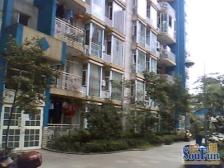 金城丽景 3室1厅 东南 西南