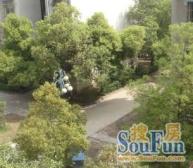 【子固路住宅楼】| 南昌市东湖区子固路196号505室