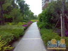 慧芝湖花园二期6室南朝向1250.00万元/套出售