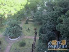 爱国路 南北通透,采光好 视野好,诚心出售