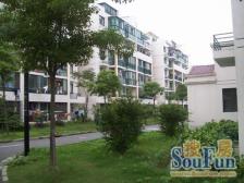 新上电梯大三房 一手动迁税少 好楼层位置好 诚意出售