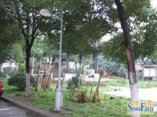 姑苏 大龙港新村 1室1厅