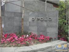 欧波罗 3室2厅 南