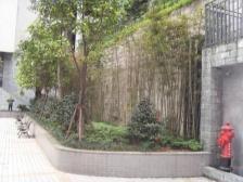 四公里 鑫茂源e时代一房40万