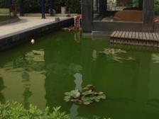 民德路 南北通透,采光好 近地铁 视野好,诚心出售