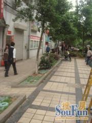 叠山路南北通透,采光好近地铁视野好,诚心出售