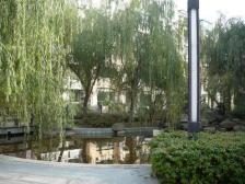 近地铁 采光好 无抵押,拎包入住 新上房源