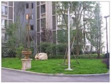 融侨大两房 全款证在手 产权清晰 随时可交易