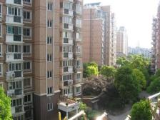 必卖好房 位置好 电梯高区 视野好 无遮挡 楼.王位置