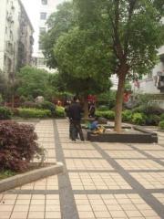 叠山路 南北通透,采光好 近地铁 视野好,诚心出售