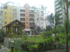 临湖下叠拼别墅 客厅挑空六米 带车位 南临水 北花园