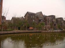 近地铁 通风好 家具全送 满五,必看好房