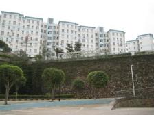 此房方正,绿化好,负氧离子高,红本在手,随时过户