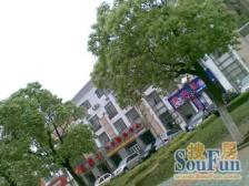 电梯顶复带空中花园可种菜业主诚售