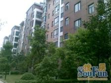 万达星城东区 顶楼复式 业主诚心出售