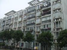 顶楼复式 全明户型 随时看房 位置好