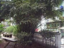 瀛丹花园 3室1厅 南