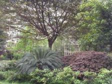 瀛丹花园 3室1厅 东南