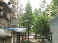 位于中间位置不临街坯境安静,前后无遮挡,居住舍适,满五年