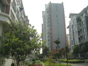 秀泊经典户型方正,采光好装修好,环镜优美中间楼层