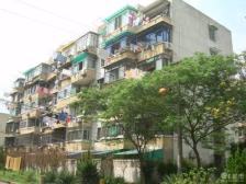 南站·金牛苑·1室·1厅