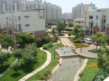 新出七宝叠加别墅 周边配套齐全 可停三部车 看房随时