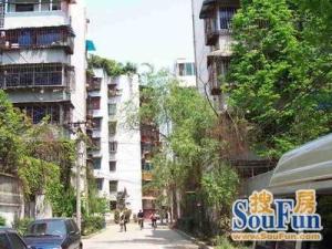 新鸿一区2室1厅南