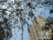 三峡广场 紫荆花园三房140万