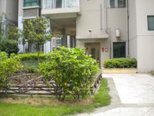 象湖源 南北通透,采光好 装修好,环镜优美 中间楼层