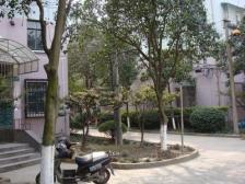 金三楼,西边套厅带阳台,朝南大一房一厅,税费各付