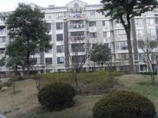 双轨交13+14 满五税少 地铁口100米 看房有钥匙
