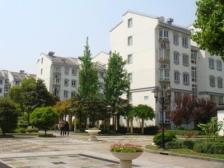 紫藤新园,一楼带院子,户型好,小区绿化高,环境好