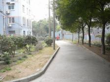 一梯两户,全明户型,房东诚意出售,看房方便,价可谈