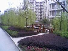 顶跃 大花园 大户型 业主诚心出售