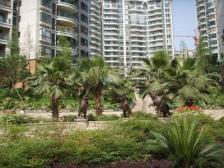 人和精装大三房,视野好、采光好、生活便利