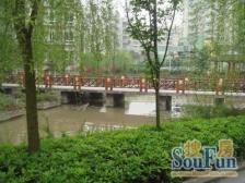 精装洋房 小两室 楼层好 看公园