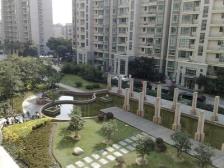 户型方正!满五年!看房方便!交通便利!