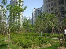 品质小区,环境优美,居家装修,诚意出售